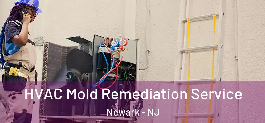 HVAC Mold Remediation Service Newark - NJ
