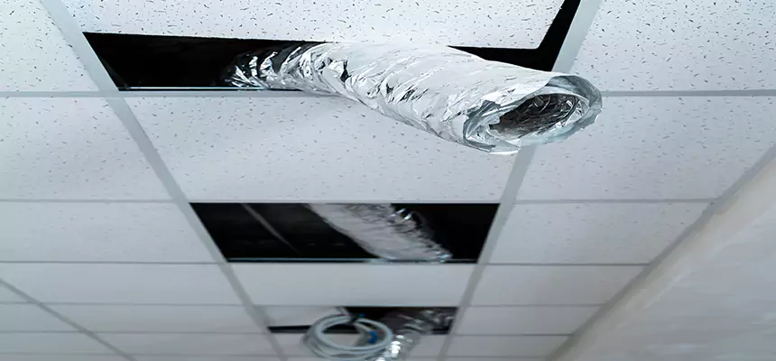 Our Air Duct Pet Hair Removal Services in Newark, NJ