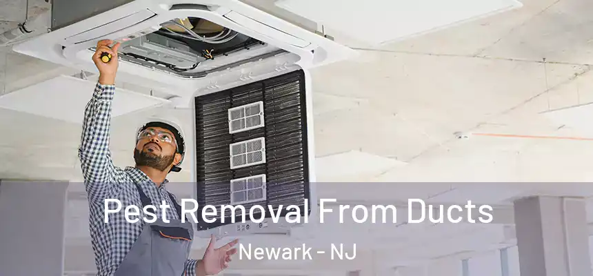  Pest Removal From Ducts Newark - NJ