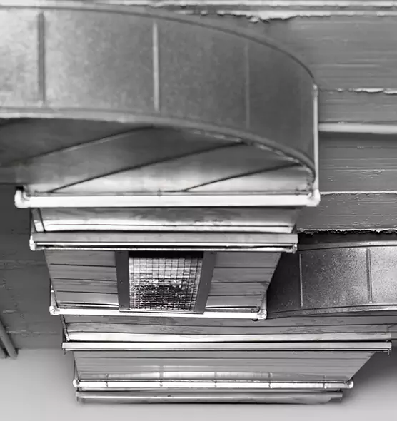 Professional Air Duct Pest Removal in Newark, NJ