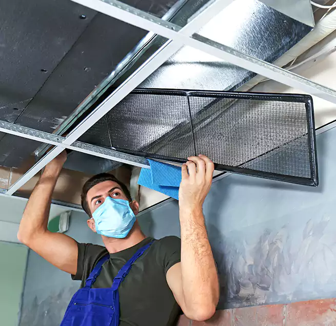 Why Homeowners Businesses Trust Us in Newark, NJ